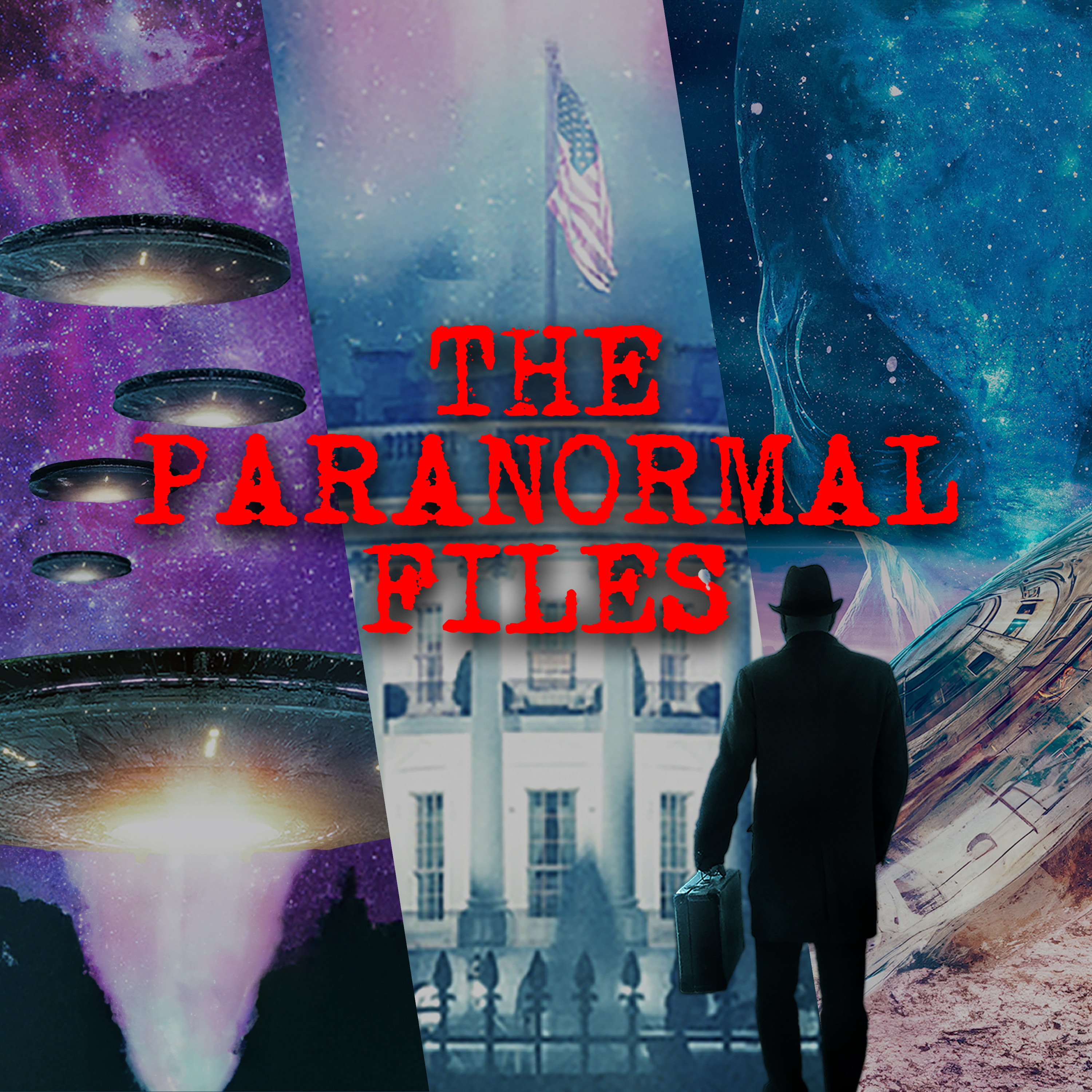 The Paranormal Files