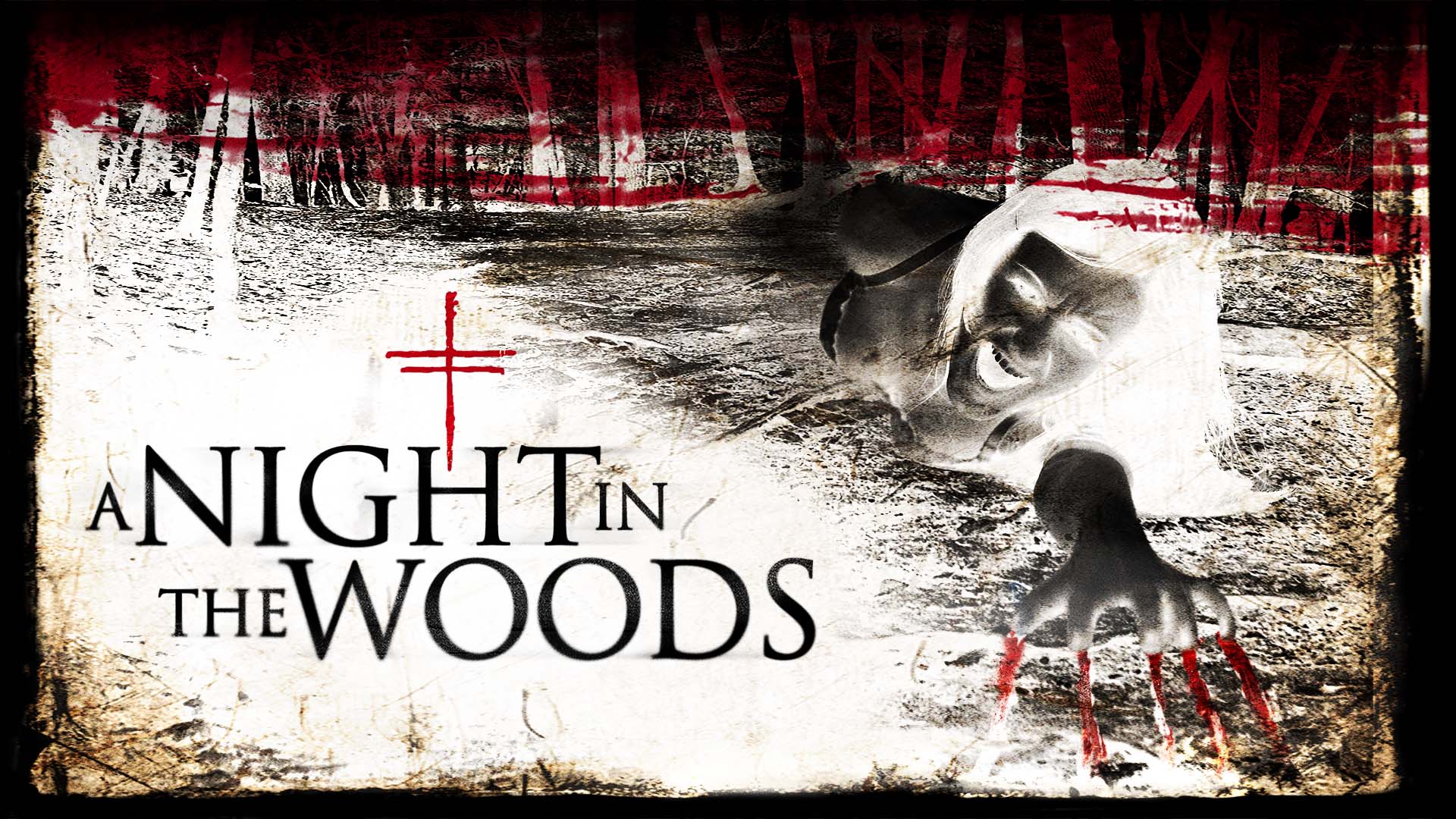 A Night in the Woods