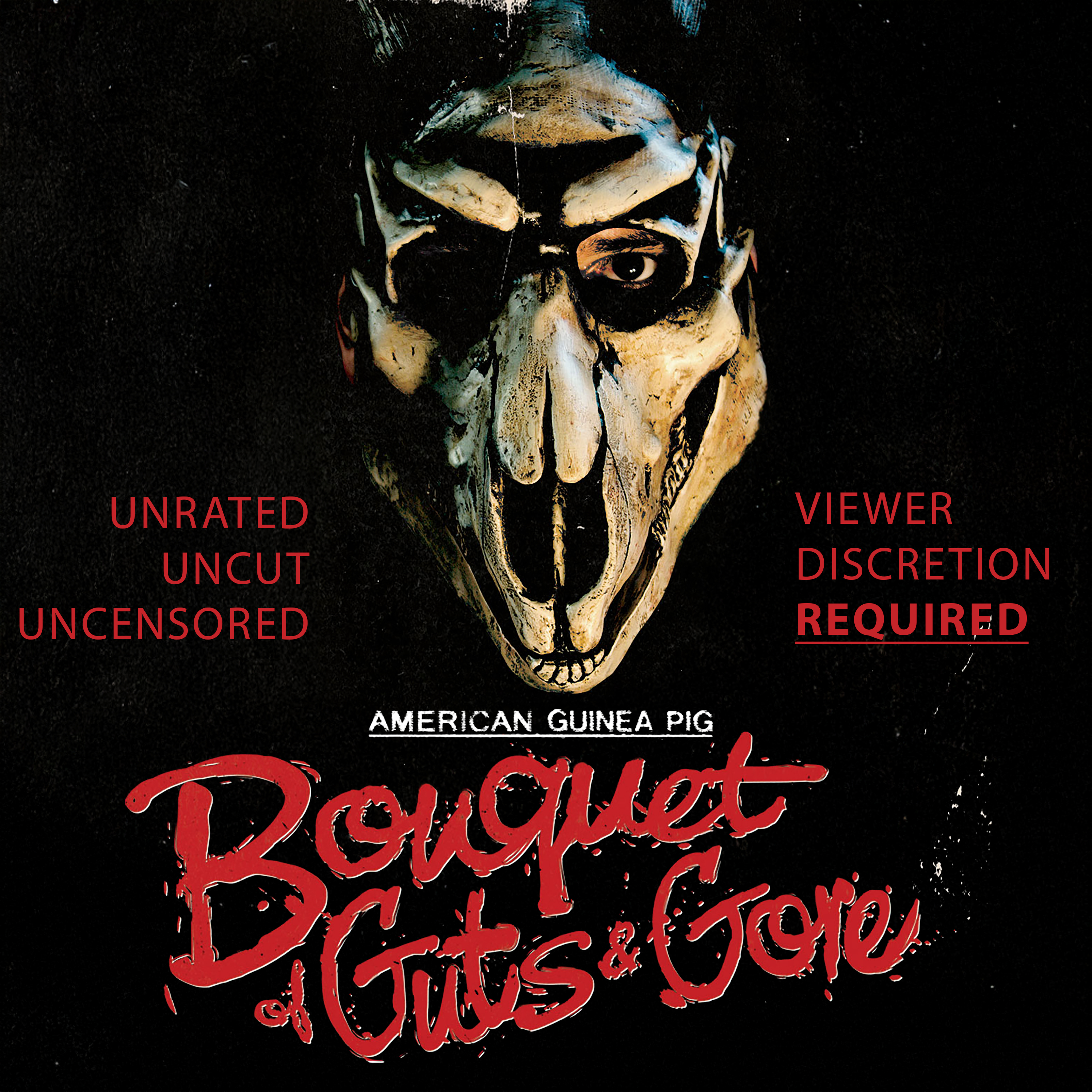 American Guinea Pig: Bouquet Of Guts And Gore