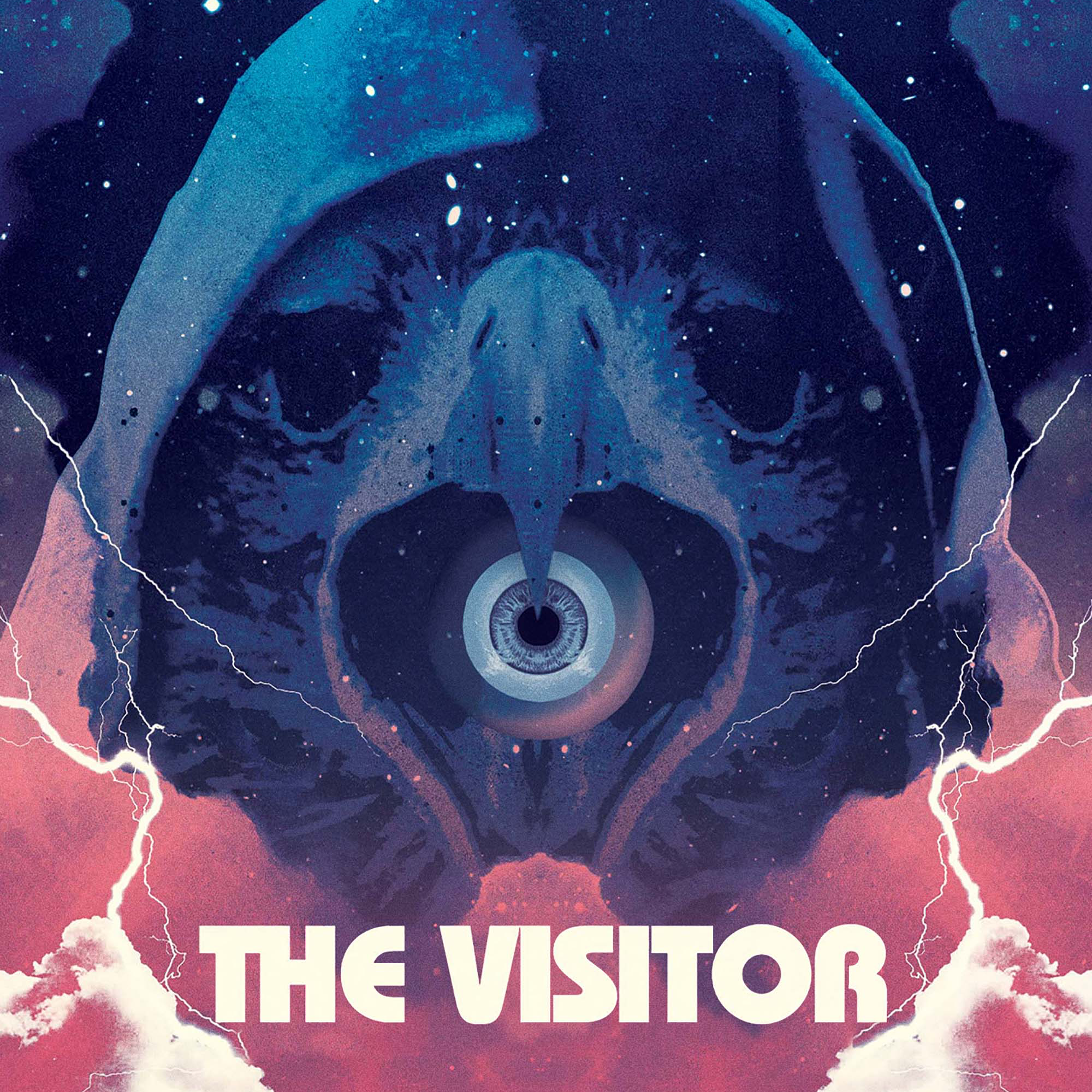 The Visitor