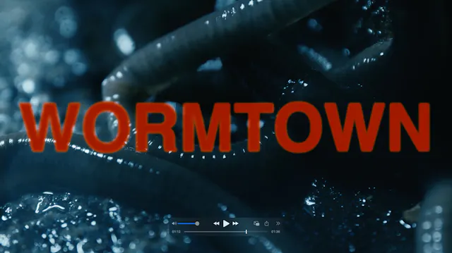 Wormtown Festival Teaser