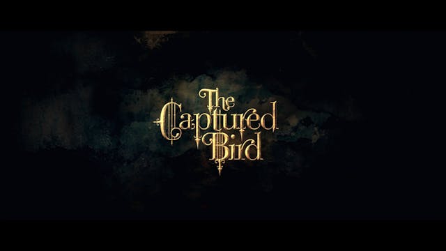 The Captured Bird - Short