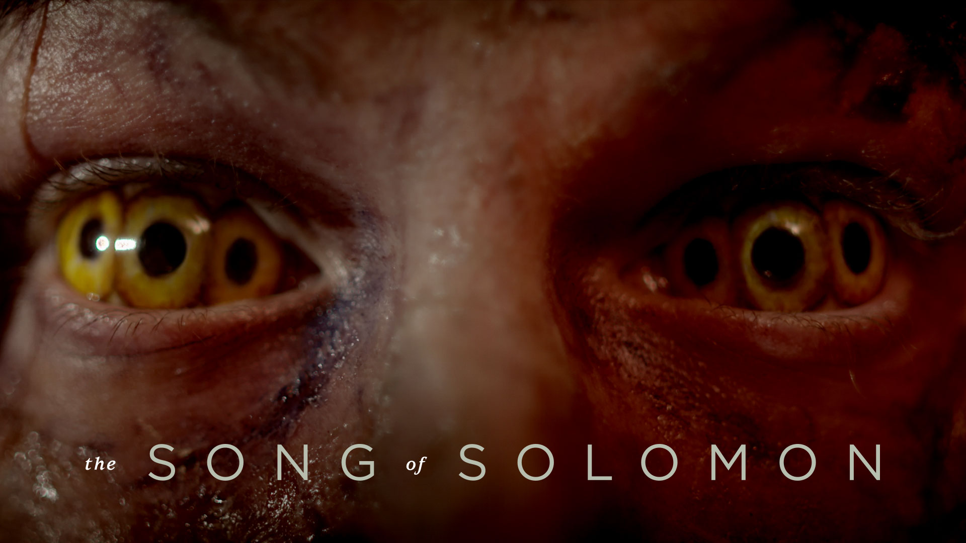 AGP: The Song of Solomon