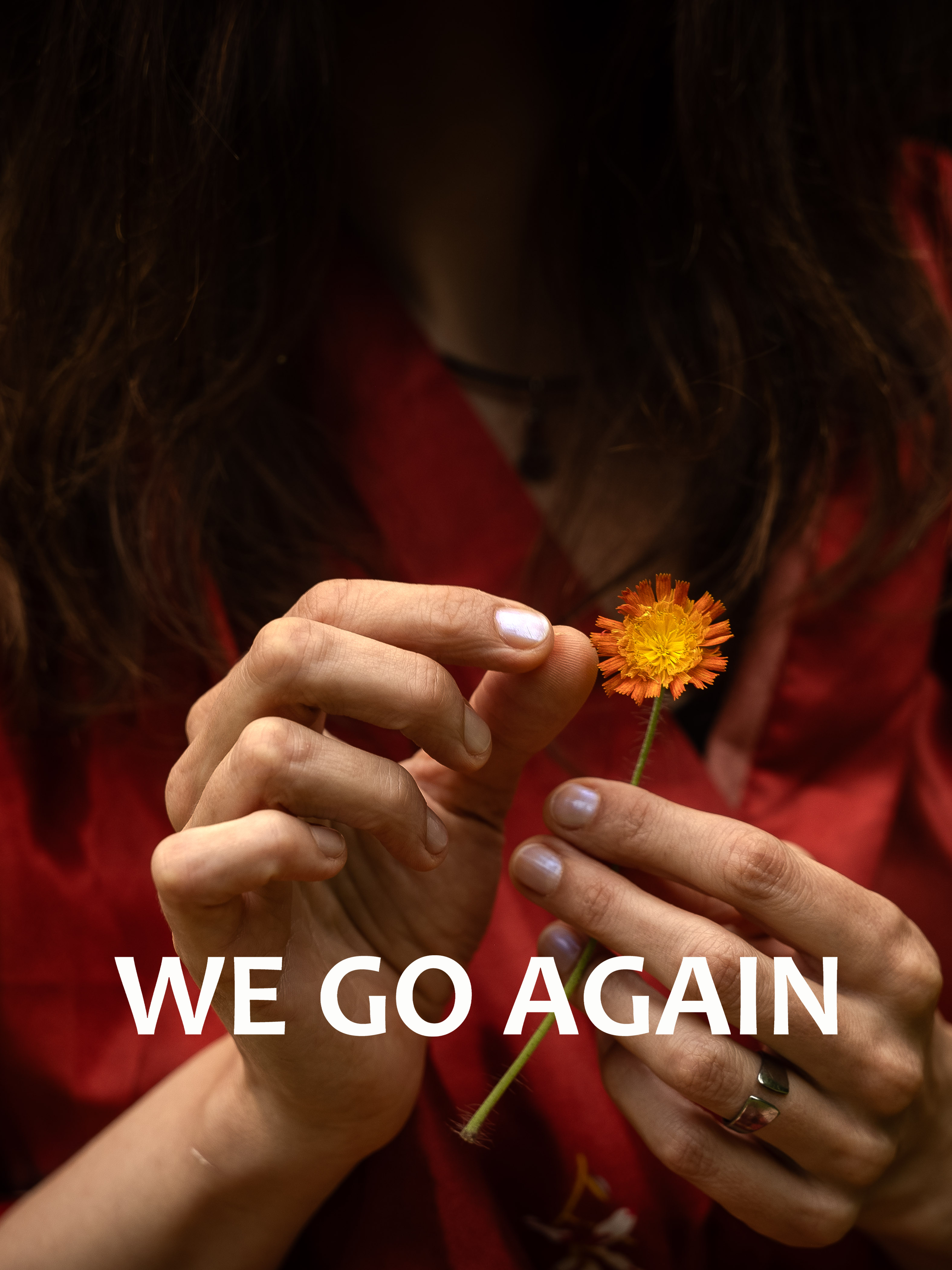 We Go Again