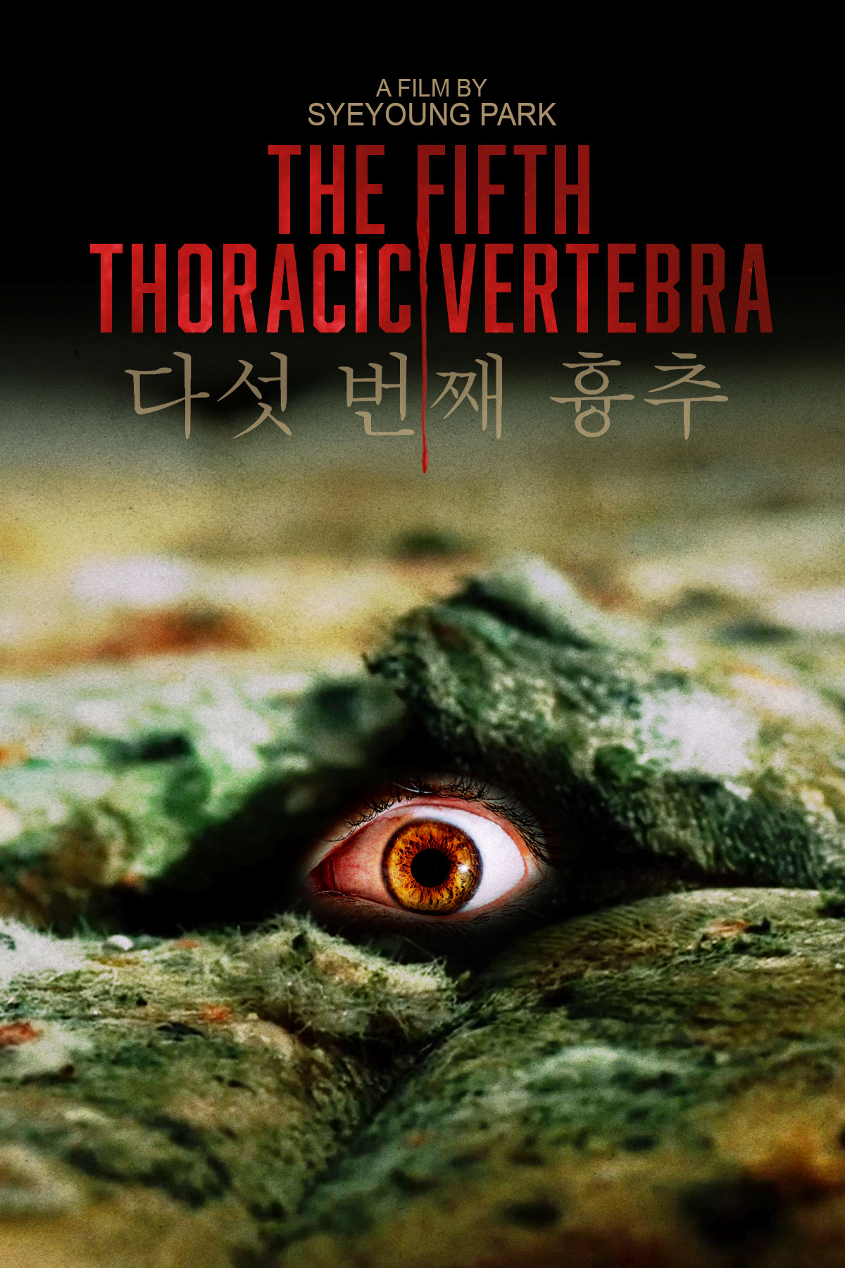 The Fifth Thoracic Vertebra