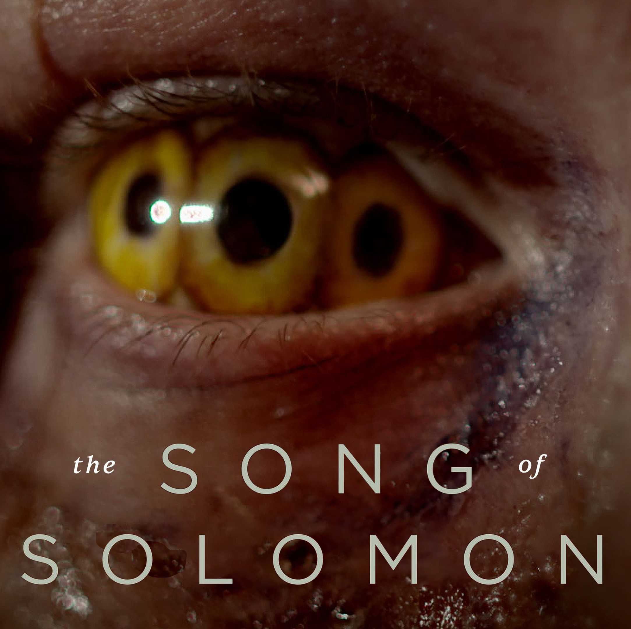 American Guinea Pig: The Song of Solomon