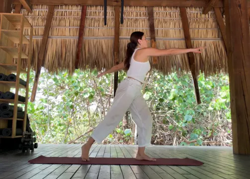 Somatic Rx:  Dancerly Movement for An...