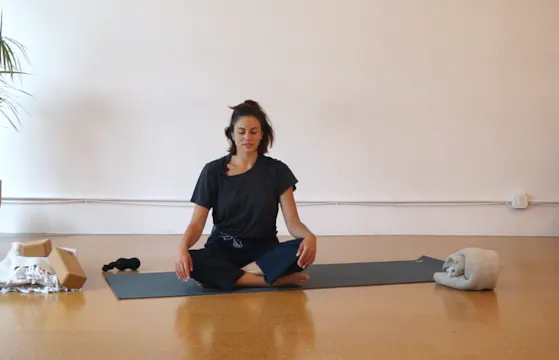 Support System: A Cozy Core + Restore