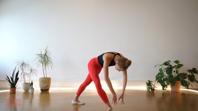 Advanced Ballet: Adagio with Elanor 3...