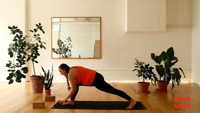 Fall Flow Yoga with Shoshi 11.19.24