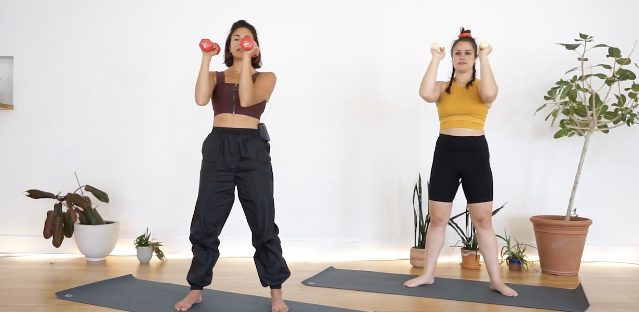 STRENGTH WITH WEIGHTS