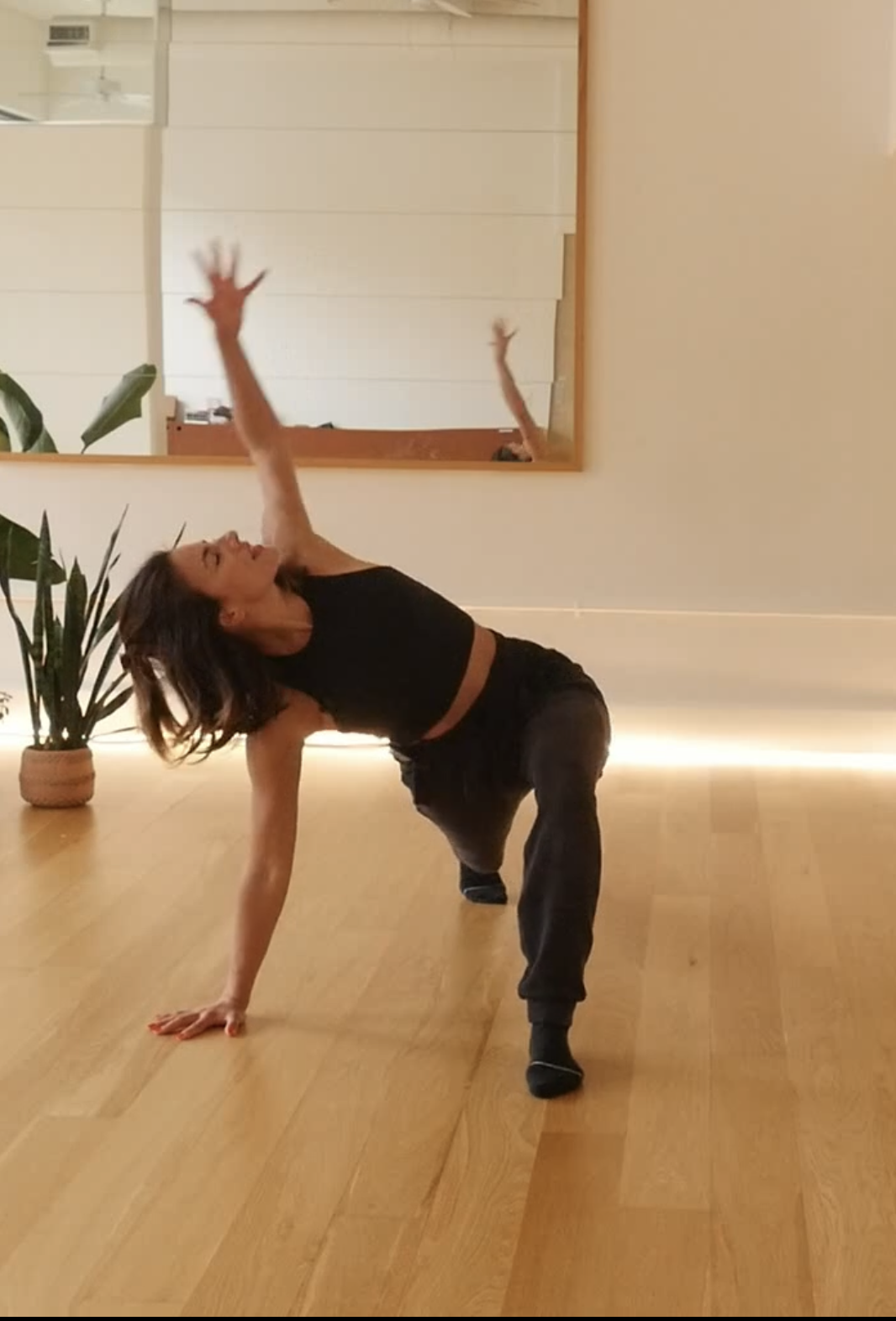 Seaweed Sessions: Expressive Improv and Functional Movement