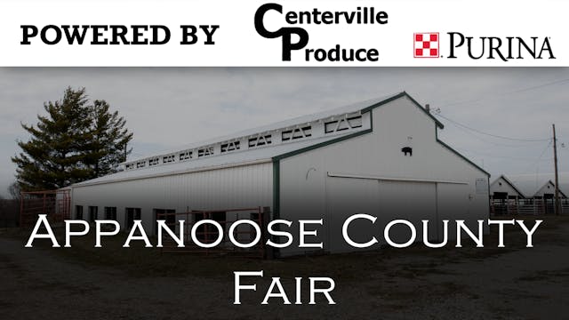 2022 Swine Show - Appanoose County Fair