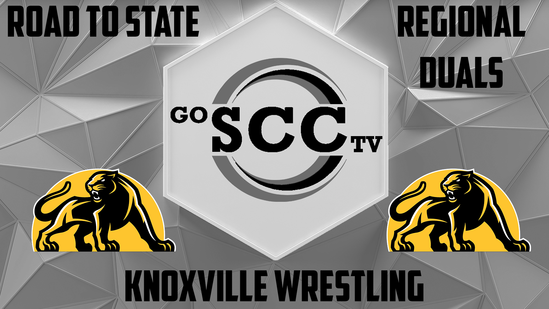 Knoxville Wrestling Sectional Duals @ Williamsburg - 1-31-23