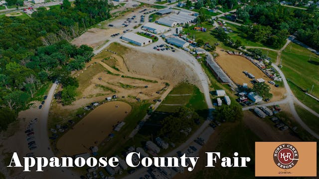 Swine Show - 2024 Appanoose County Fair