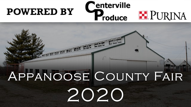 Horse - 2020 Appanoose County 4-H Livestock Show