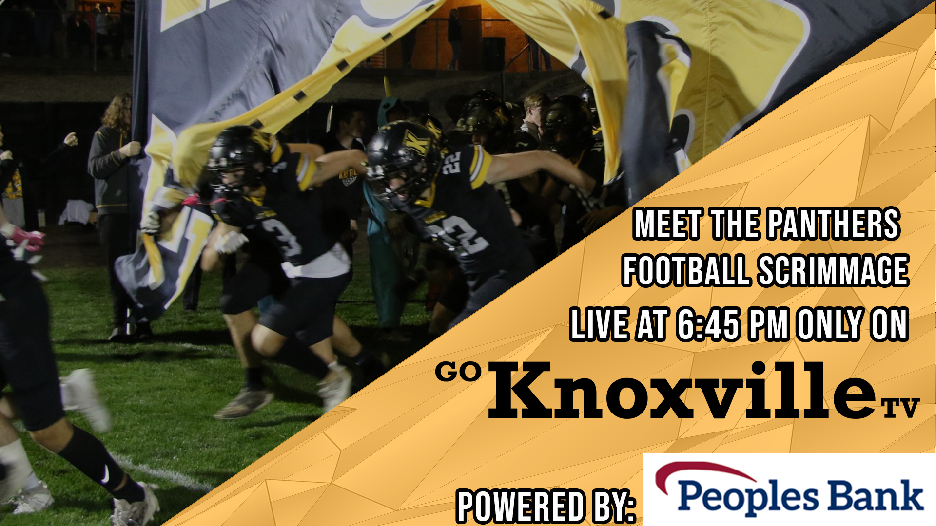 Meet the Panthers 8-23-24