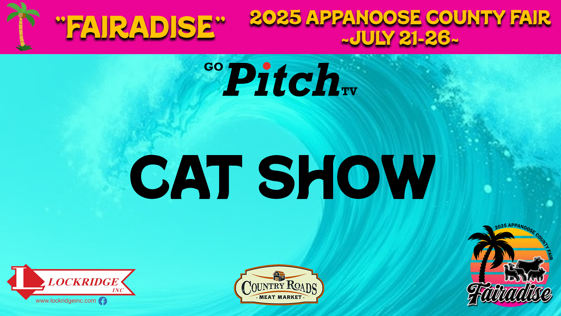 Cat Show - Appanoose County Fair 2025 - 7-21-25