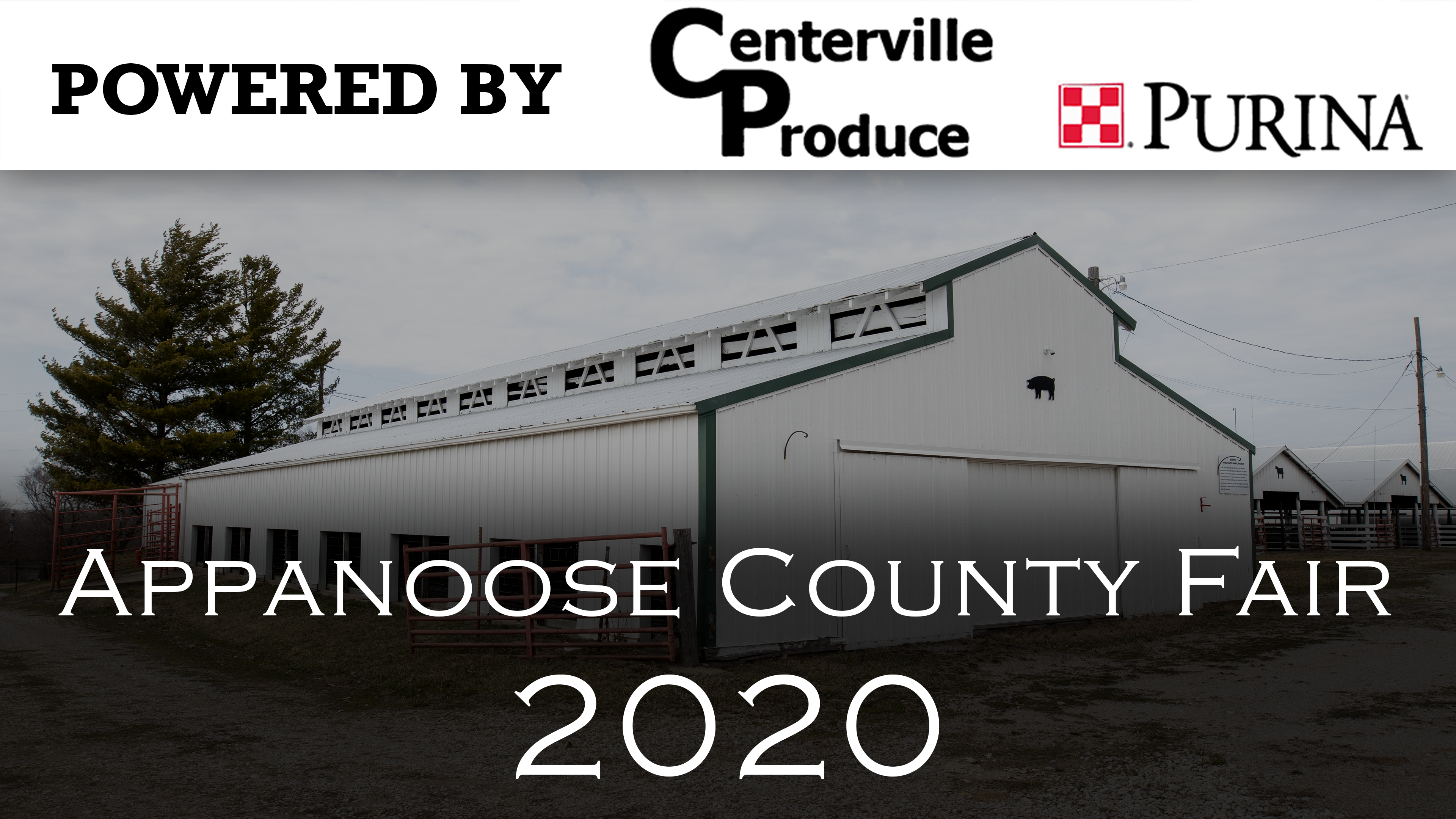 Cat Show - 2020 Appanoose County 4-H Livestock Show