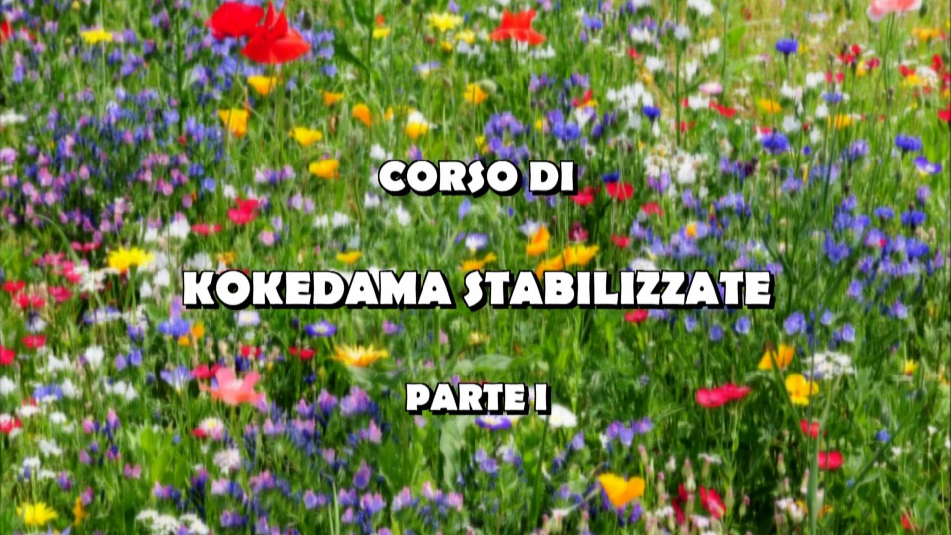 VIDEOCORSO I: KOKEDAMA PICCOLA