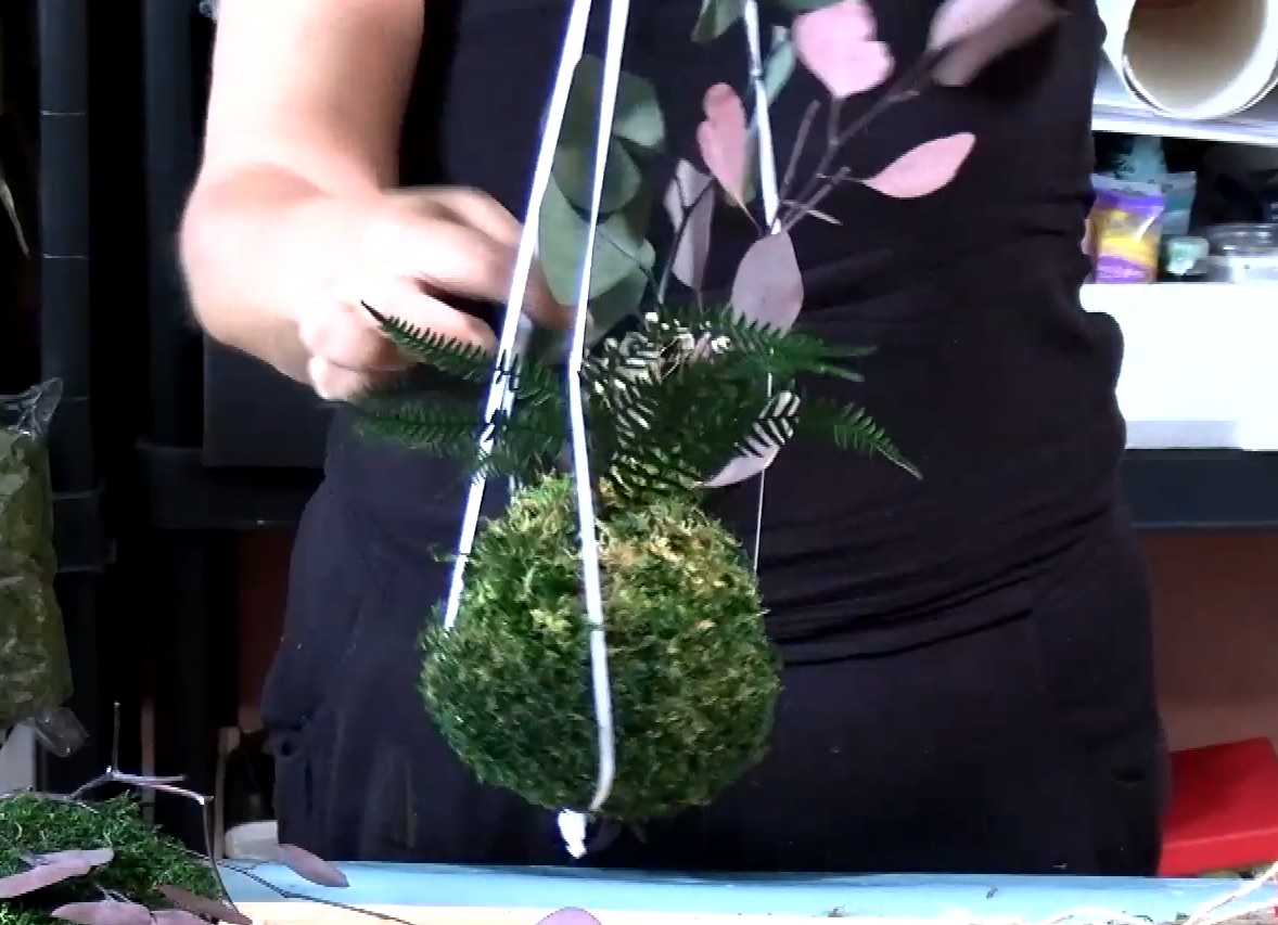 BONUS TRACK: IL CORDINO