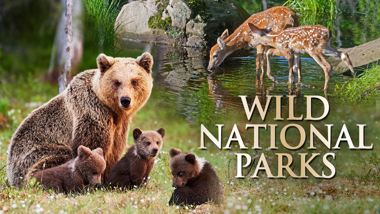 wild-national-parks-gotraveler