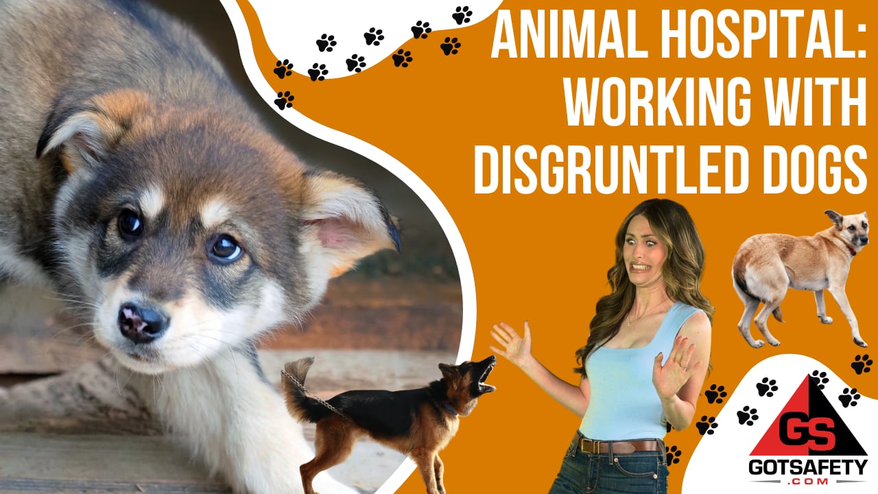 Animal Hospital: Working with Disgruntled Dogs