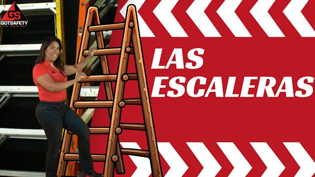 Ladders - sp