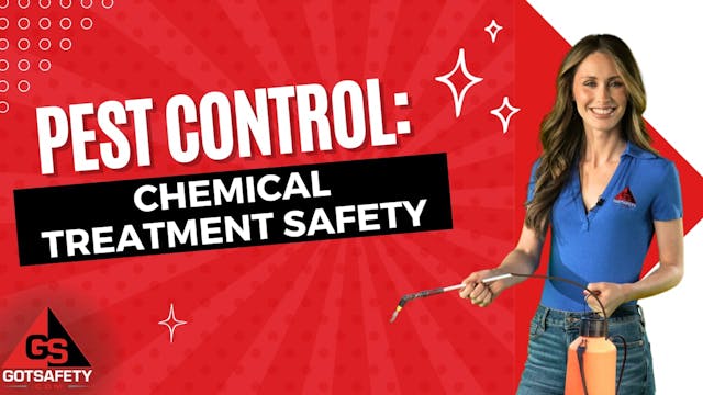 Pest Control: Chemical Treatment Safety