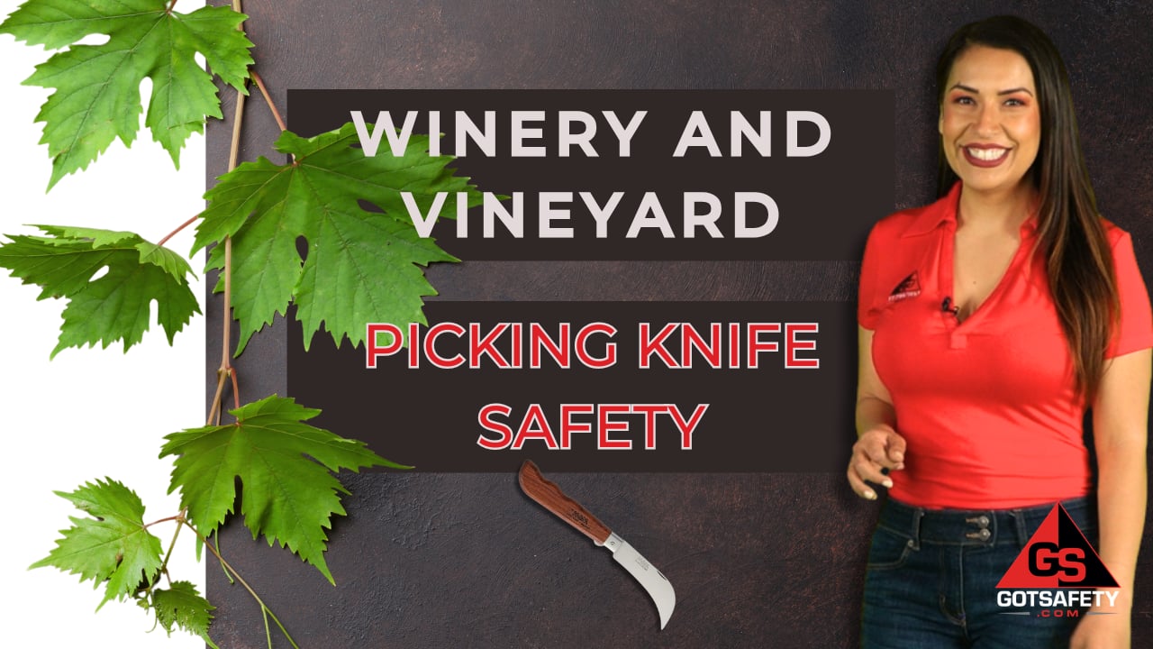 Winery and Vineyard: Picking Knife Safety