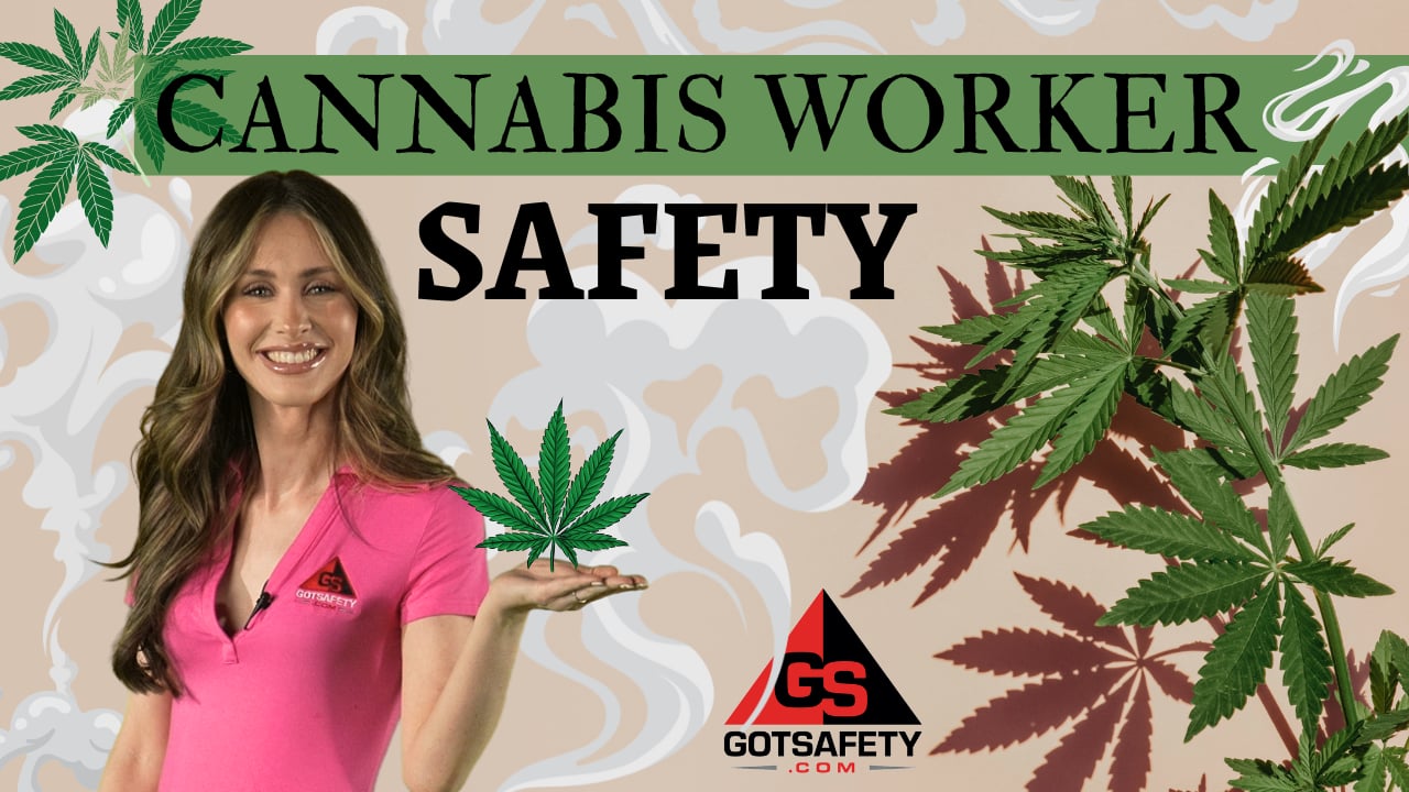 Cannabis Worker Safety