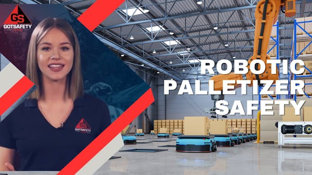 Robotic Palletizer Safety