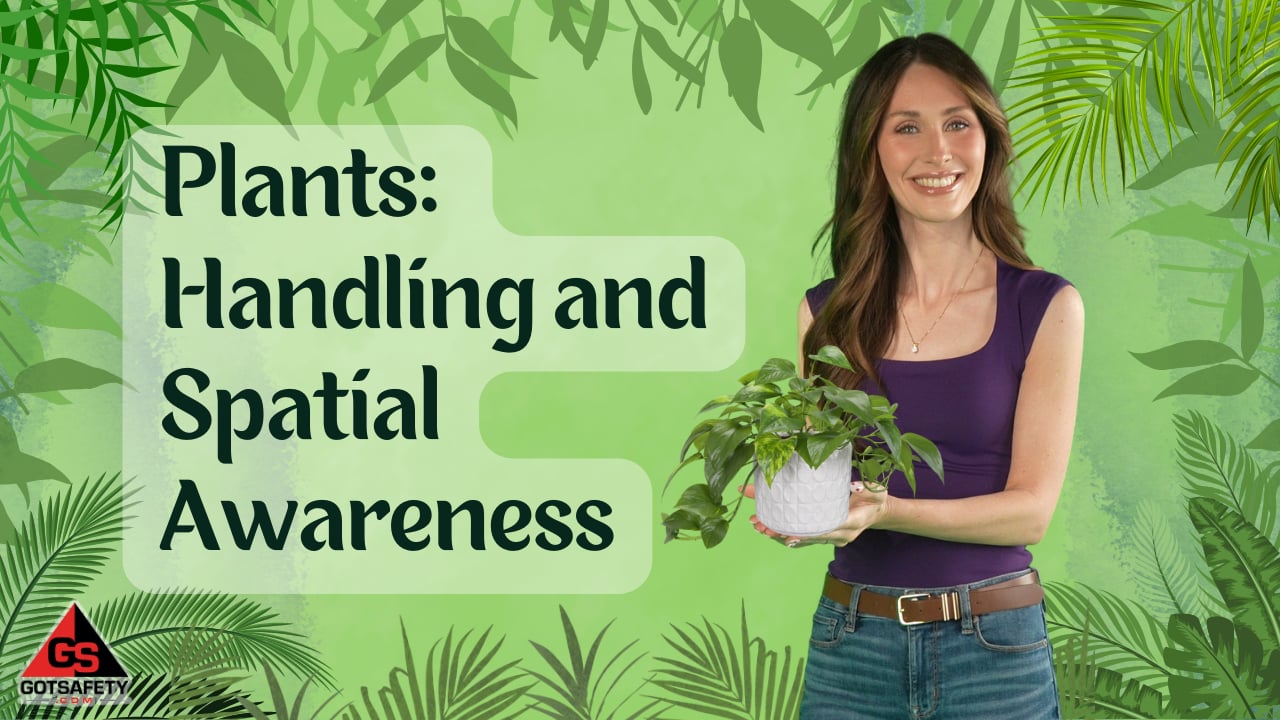 Plants: Handling and Spatial Awareness