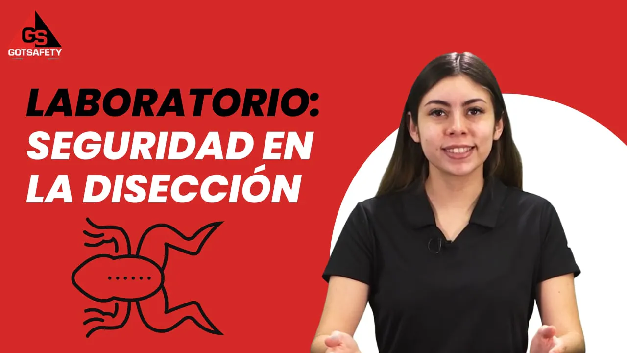 Lab: Dissection Safety - SP - GotSafety Lite | Safety Video Streaming