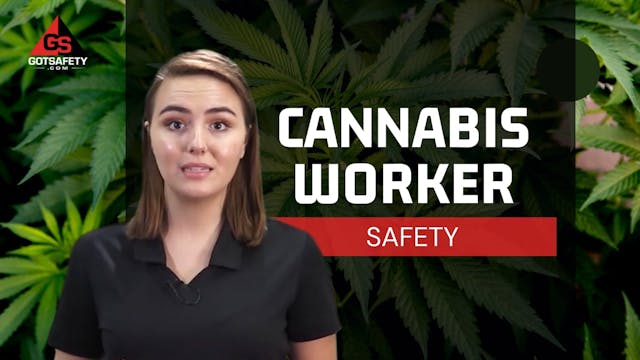 Cannabis Worker Safety