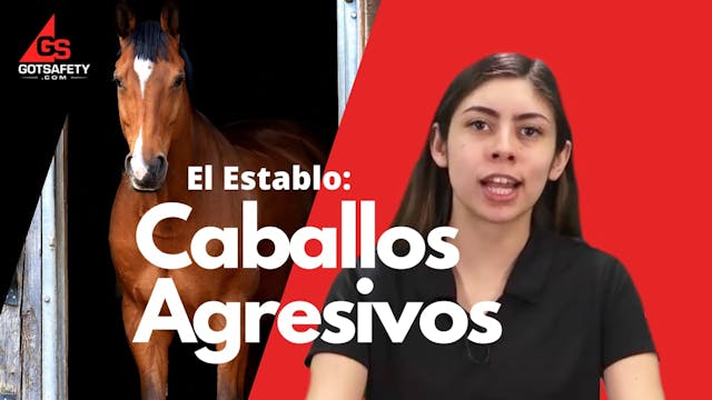 Stable: Aggressive Horses - SP