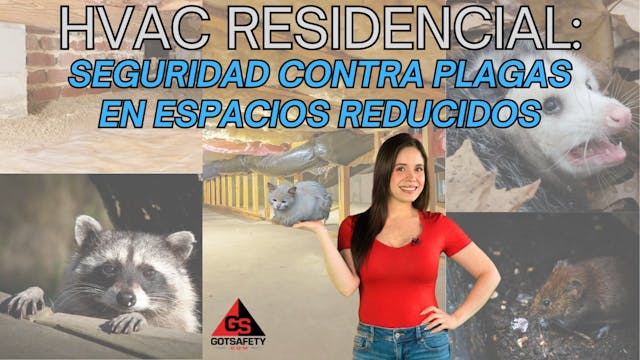 HVAC Residential: Crawl Space Pest Sa...