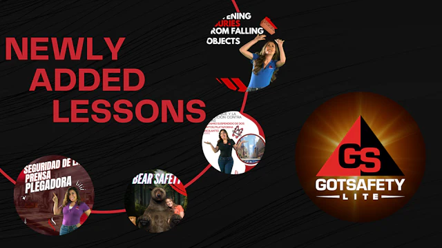 Newly Added - GotSafety Lite | Safety Video Streaming