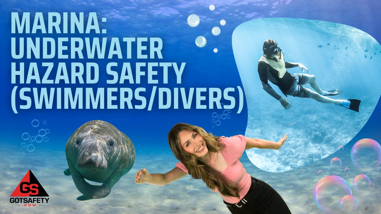 Marina: Underwater Hazard Safety (Swimmers/Divers)