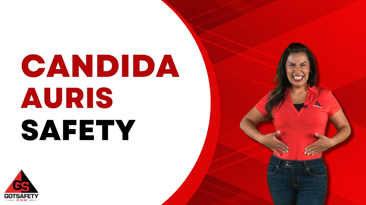 Candida Auris Safety