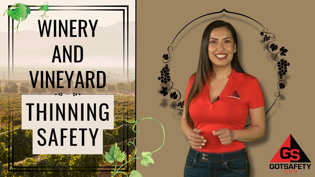 Winery and Vineyard: Thinning Safety