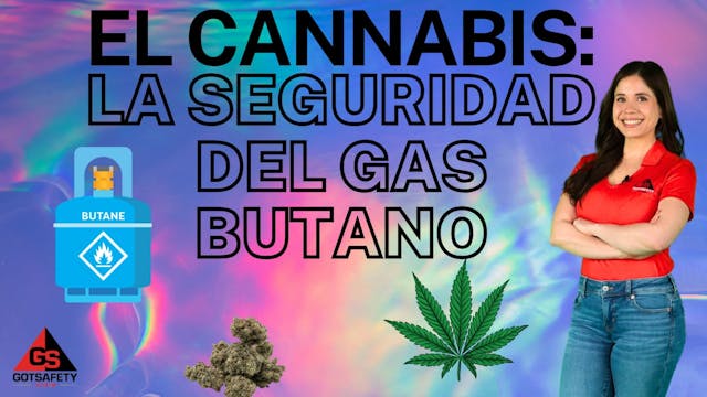 Cannabis: Butane Gas Safety - SP