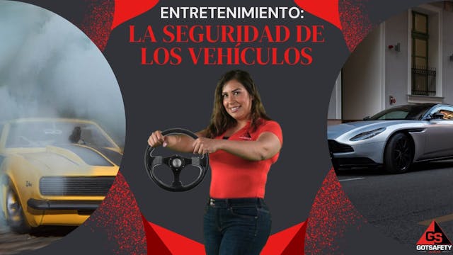 Entertainment: Vehicle Safety - sp