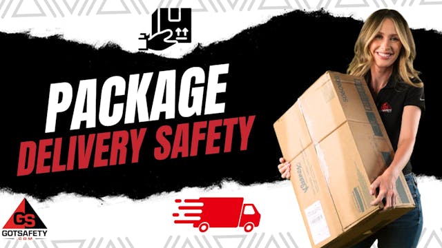 Package Delivery Safety