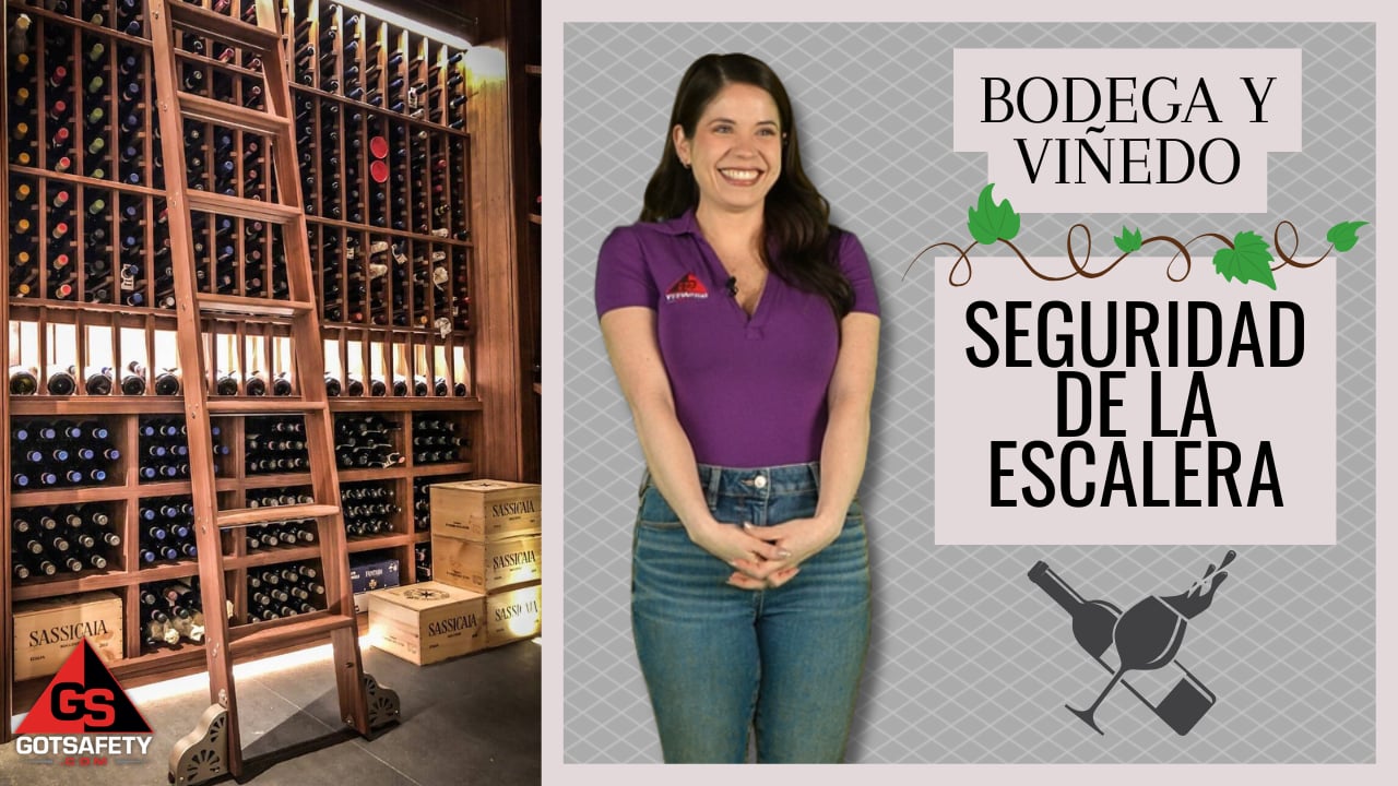 Winery and Vineyard: Ladder Safety - sp