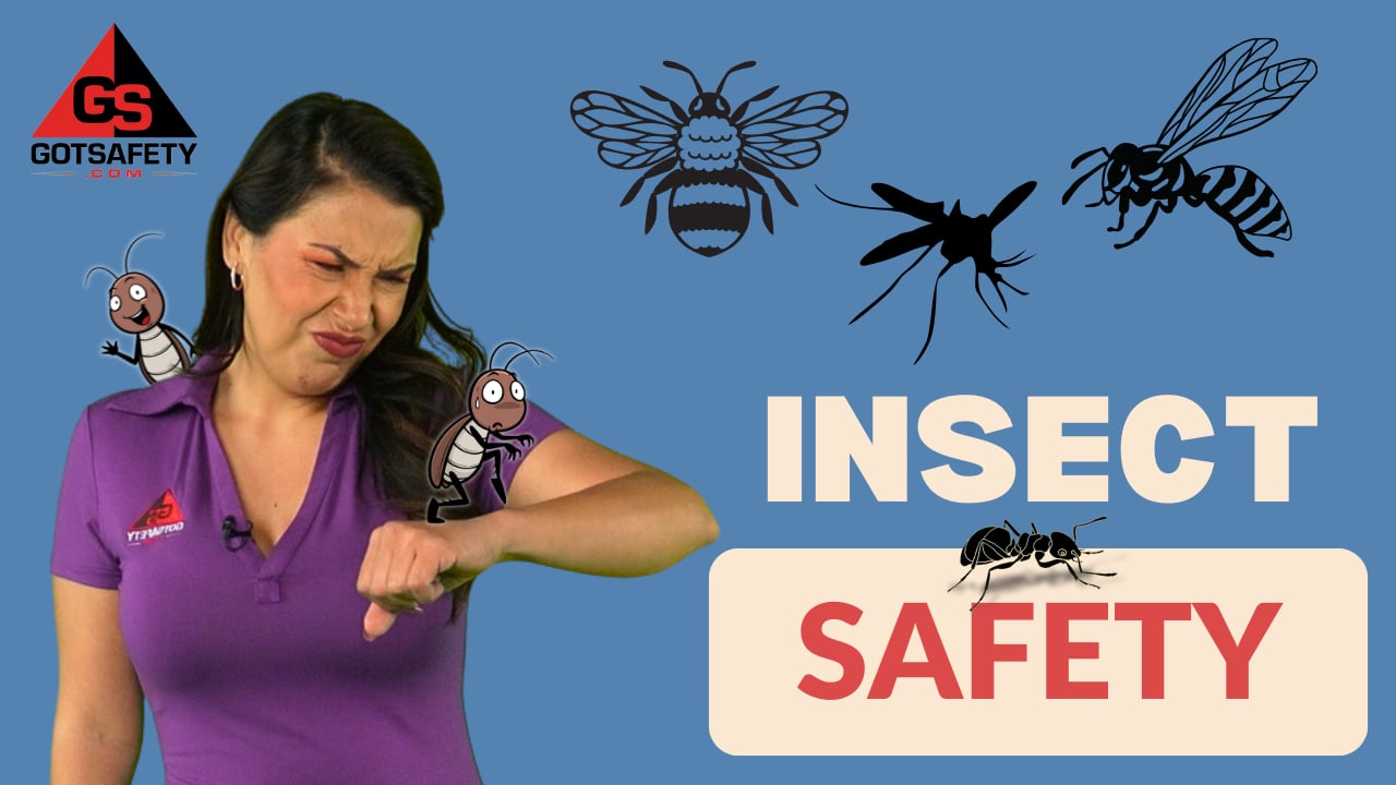 Insect Safety