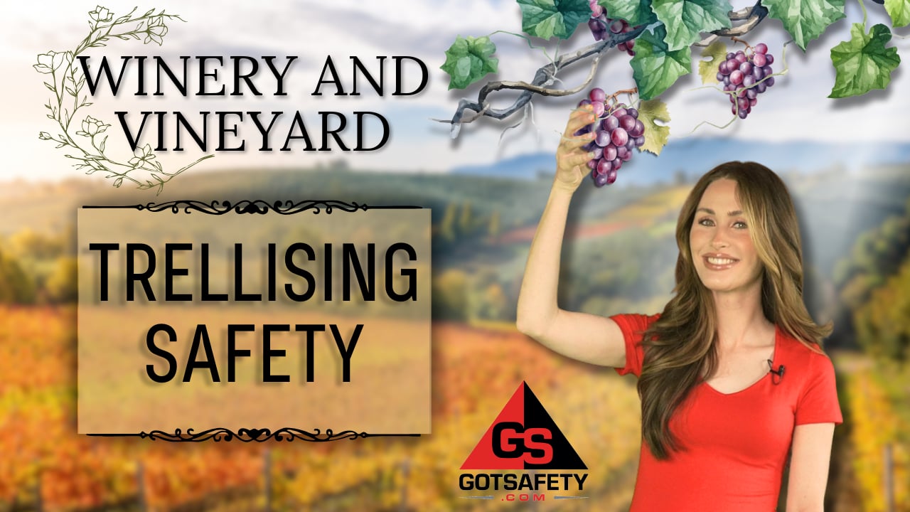 Winery and Vineyard: Trellising Safety