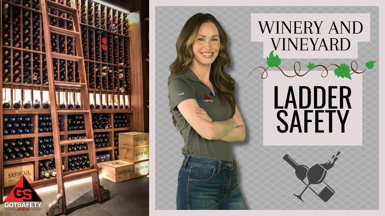 Winery and Vineyard: Ladder Safety