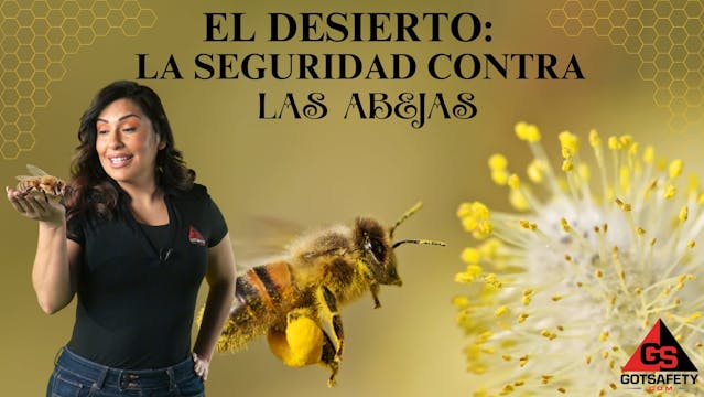 Deserts - Bee Safety - sp