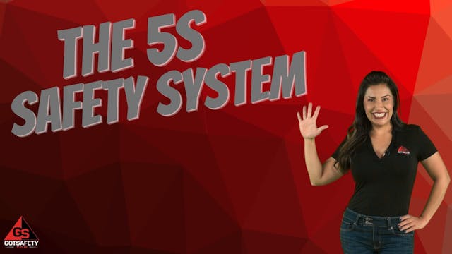 The 5s Safety System